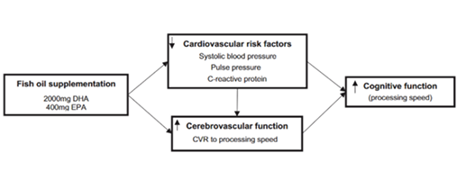 Curcumin Recovery