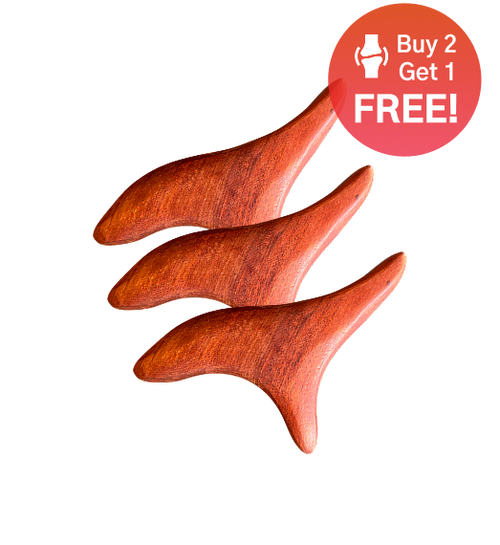 Wooden Triangular Bird Massage Stick