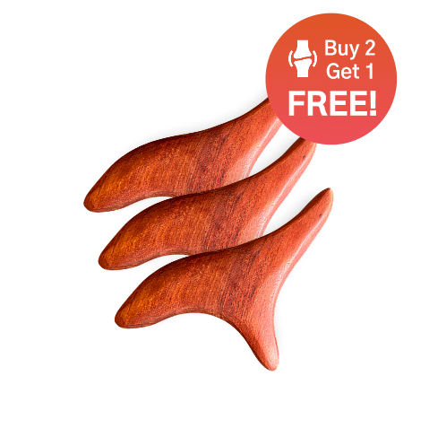 Wooden Triangular Bird Massage Stick